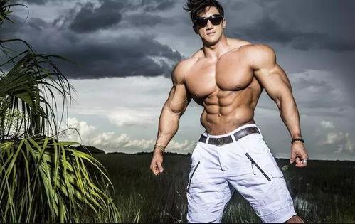 成人模特男步训练视频,跟随视频打造自信步伐