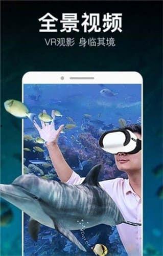 蝌蚪视频下载成人无限