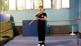 成人搏击拳法视频,实战技巧与策略解析