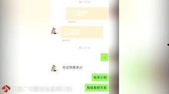 快播成人妻视频,伦理争议与法律挑战