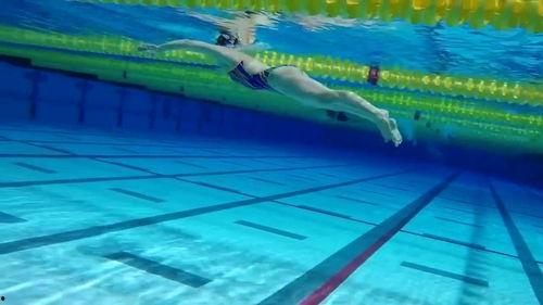 成人蛙泳上课视频教程,跟随视频轻松掌握蛙泳技巧