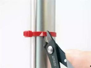 成人钉扣子神器视频大全