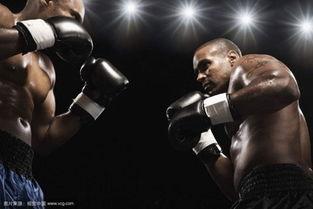 成人学拳击视频大全教学,跟随成人学拳击视频大全,掌握拳击技巧