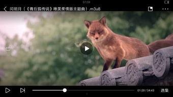 视频里的动物变成人,从兽到人的奇幻之旅