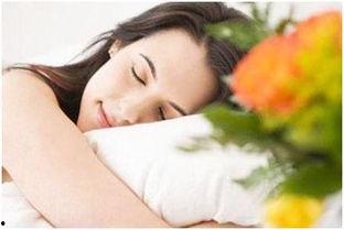 成人早上睡懒觉视频大全,成人早晨的温馨睡懒觉视频集锦