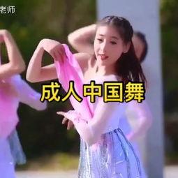成人古典古典舞视频欣赏,探寻成人古典舞之美