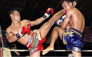 双峰拳击成人训练视频,高效塑形与实战技巧全解析