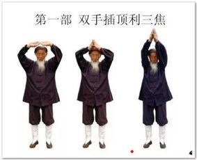 红领巾成人戴法图解视频,图解视频精华概述