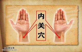惊蛰推拿成人部位视频,穴位按摩视频详解